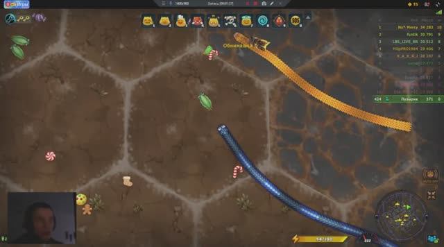 Маленькая большая змея динамичная онлайн игра Little Big Snake смотреть онлайн