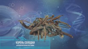 Корень Солодки*Программа Матрица по Технологии Гаряева П.П