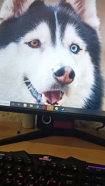 1000008651.mp4 смотреть онлайн