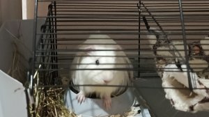 💜Трансляция🩷Заходите 🚀 все кто может