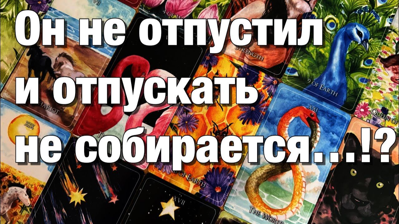 ТАРО РАСКЛАД☘️❤️НЕЗАВЕРШЁННЫЙ ГЕШТАЛЬТ!⚡️КАК ОН ПЕРЕЖИВАЕТ РАЗЛУКУ⁉️СОЖАЛЕЕТ ЛИ🫶🏻 смотреть онлайн