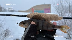 Что делать спиннингисту зимой?