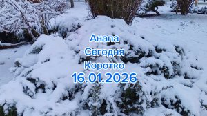 Анапа Сегодня Коротко 16.01.2026