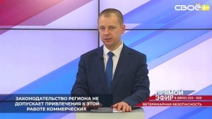 На Ставрополье с 1 июля 2024 года отлов безнадзорных животных