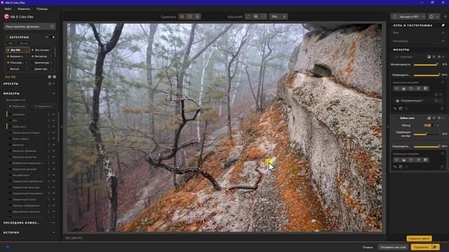 Как использовать Color Efex из набора плагинов «Nik Collection» быстрой обработки пейзажного снимка смотреть онлайн