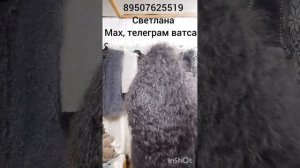 16.01.26. Пуховые платки, косынки ,шарфы ,носки ,арафаты ,шкуры, пояс,жилеты больших размеров.