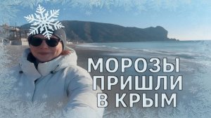 Зимняя сказка Крыма: Мороз -5, солнце и пустой пляж Судака | 16 января