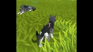 Мини фильм Wildcraft "Жизнь леса" 2 сезон 2 серия(финал всего мини фильма)