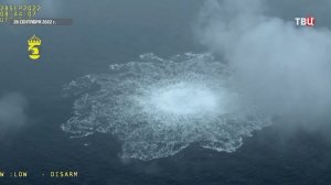 Суд в ФРГ назвал заказчика подрыва "Северных потоков"