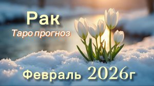 РАК ‼️ ТАРО ПРОГНОЗ НА ФЕВРАЛЬ 2026