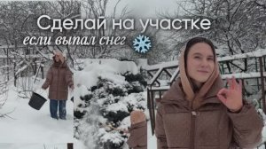 Что делать на участке зимой или когда выпал снег?  ❄️🌳