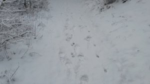 Анапу напрочь замело, 16 января снег все валит