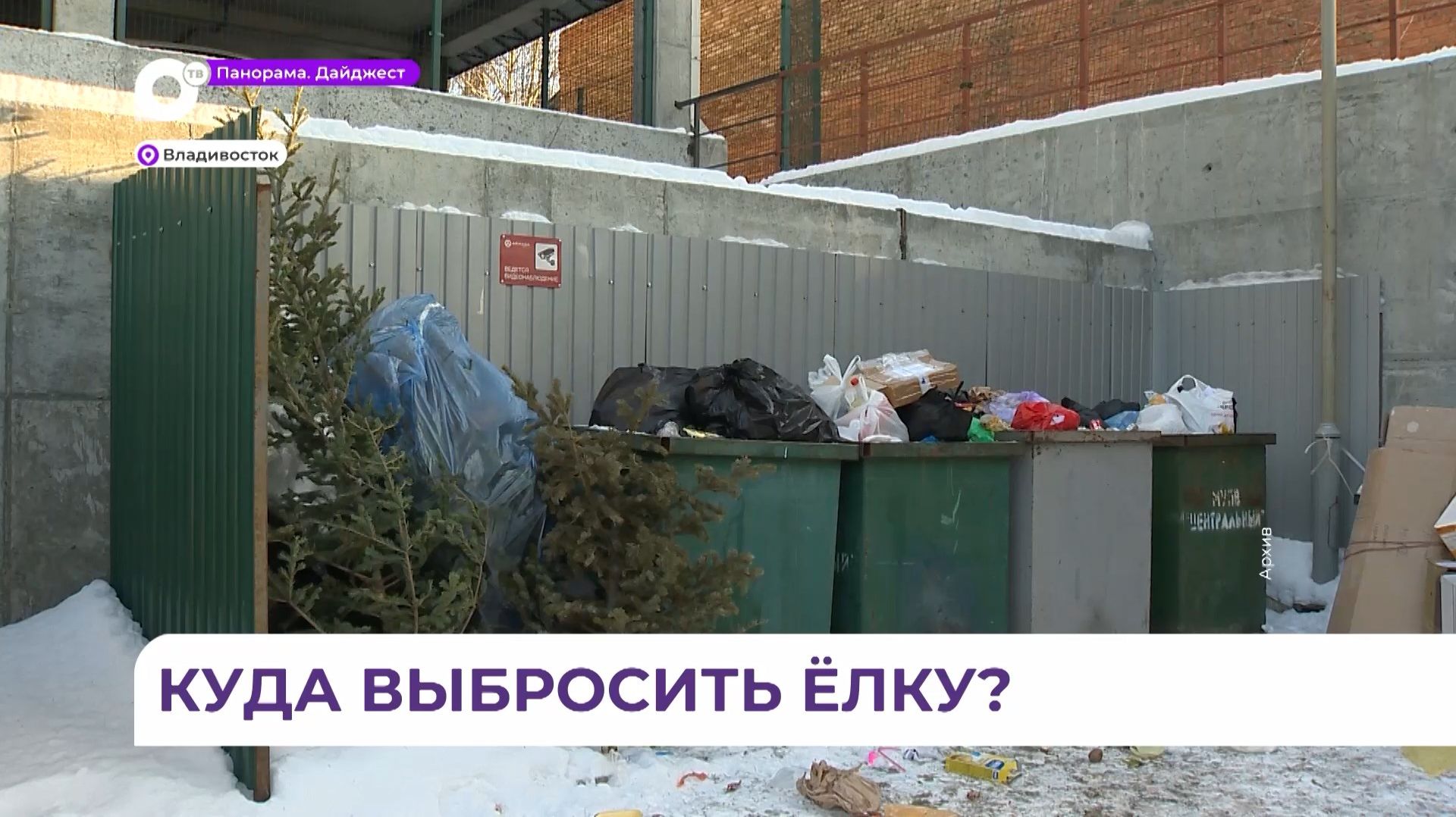 Во Владивостоке утилизировать новогоднюю ёлку можно в пункте сбора вторсырья ПЭО смотреть онлайн