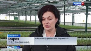 ВЕСТИ КРЫМ: выпуск 16.01.2026 11:30