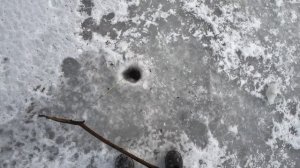 Проверка крючков на налима на малой реке в западном Оренбуржье 15 января 2026