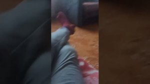 легенда возвращается