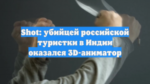Shot: убийцей российской туристки в Индии оказался 3D-аниматор