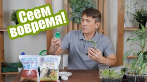 Когда сеять разные культуры? Сроки посева на рассаду