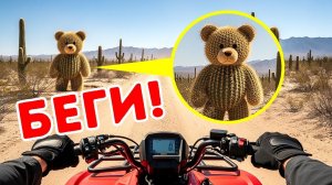 Если вы встретите плюшевого мишку в пустыне, отступайте медленно