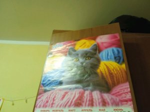 играем в тенис