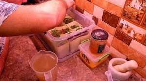 Острые перцы 30,11,25\15,01,26 результат,