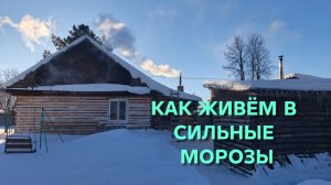 Жизнь в деревне Как мы все выживаем в сильные морозы Даже куры перестали нестись