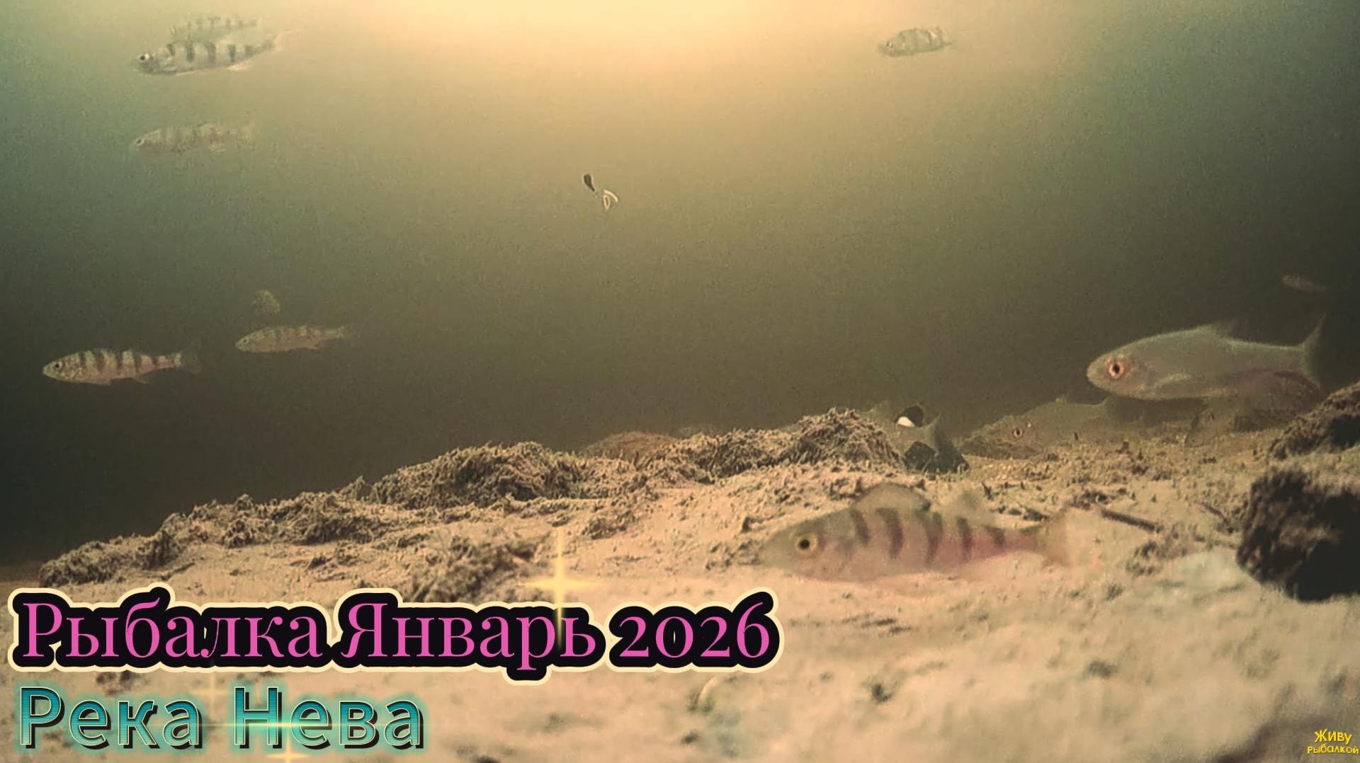 РЫБАЛКА ЗА ГОРОДОМ В ГЛУХОЗИМЬЕ  ПРОСИДЕВ ДЕНЬ НА ЛУНКАХ КЛЁВА НЕБЫЛО смотреть онлайн