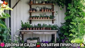 Дворы и сады 🍒 идеи оформления дачи в объятиях природы 🏡 (25) 🌳