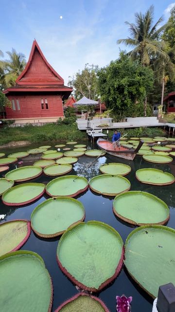 Это что? Кувшинки??? смотреть онлайн