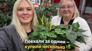 🔥 Поехали ЗА ОДНИМ цветком — купили МНОГО 🌿