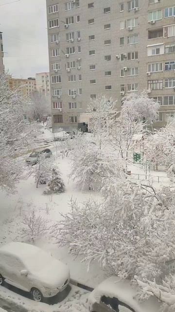 Геленджик 16.01.2026 смотреть онлайн