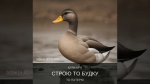 IMG_20260117_001820_081.mp4