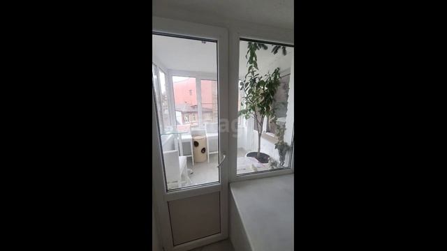 10770838 смотреть онлайн