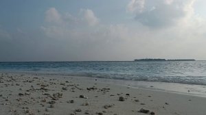 Море и крабы, следующий день, Камаду, Мальдивы, январь 2026 (Sea and crabs, Next Day, Kamadhoo)