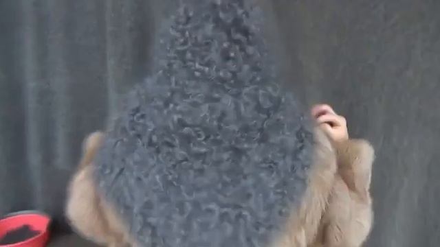 89507716355 Чем отличаются распушенные и не распушенные, только связанные вещи? Рассказываю. смотреть онлайн