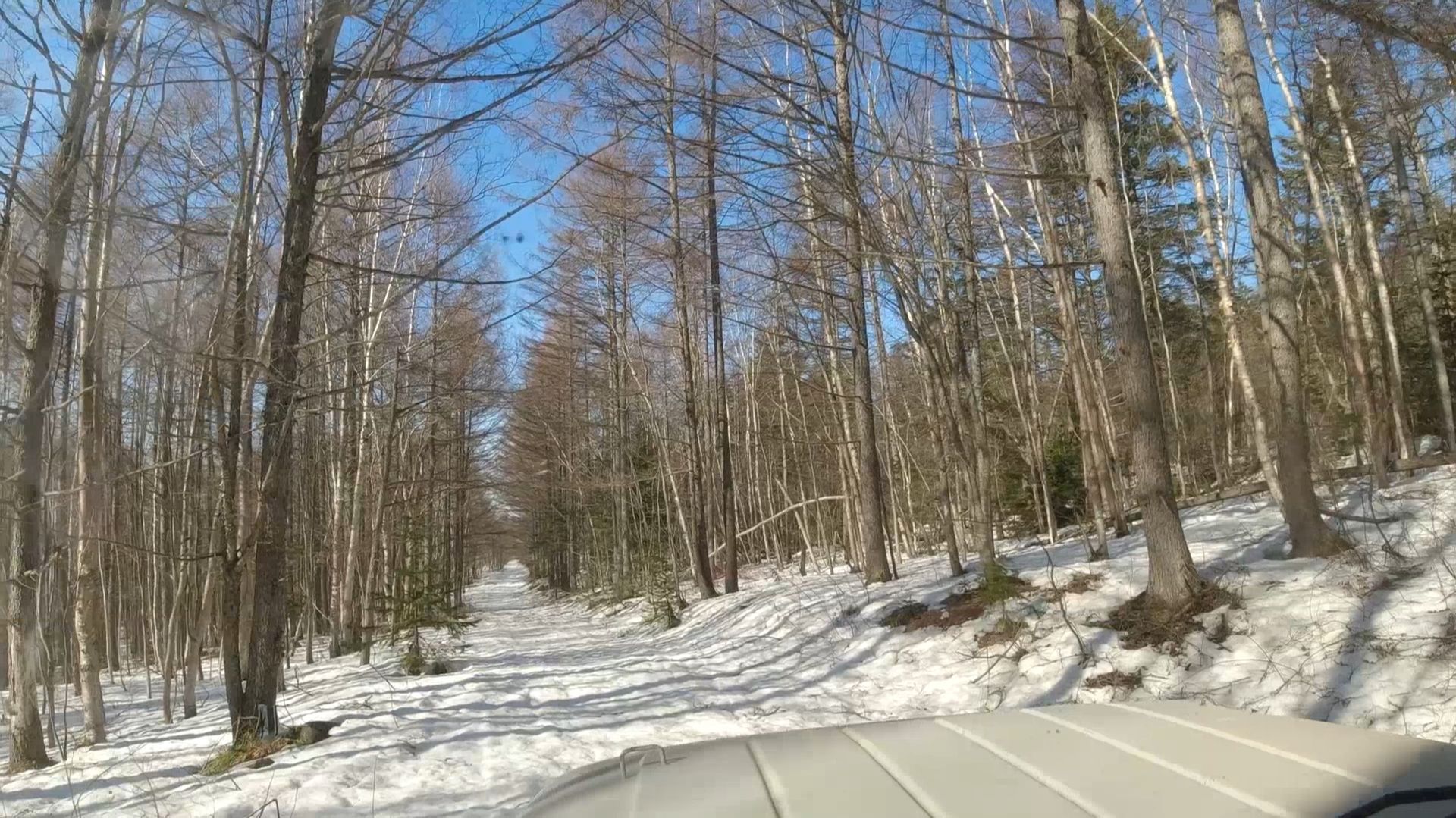 Проверил лесную дорогу и застрял в ледяном капкане смотреть онлайн