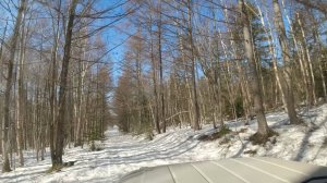 Проверил лесную дорогу и застрял в ледяном капкане