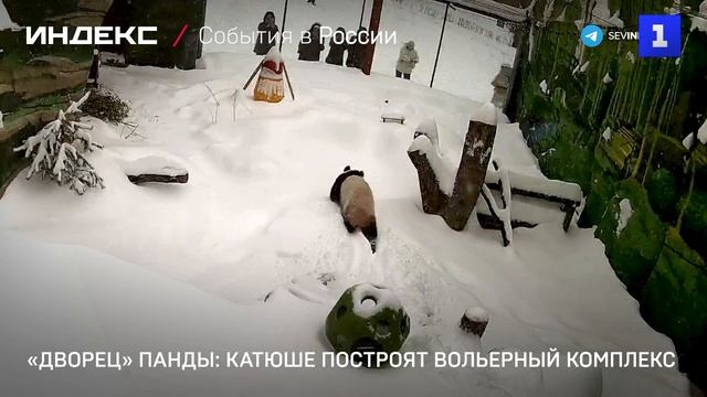 «Дворец» панды: Катюше построят вольерный комплекс смотреть онлайн