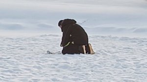 VID_20260116_154557_901