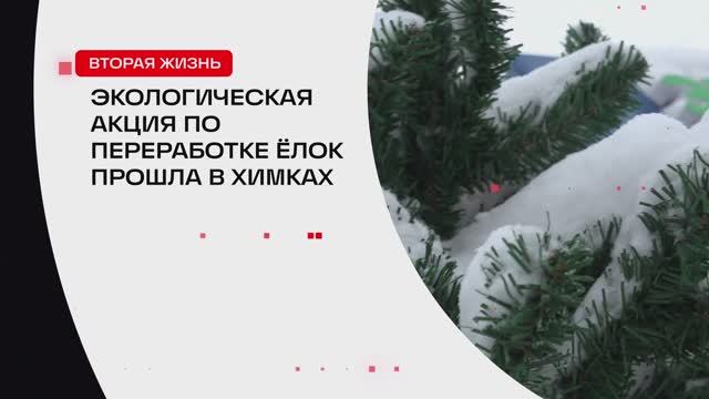 Экологическая акция по переработке ёлок прошла в Химках // 360 ХИМКИ смотреть онлайн