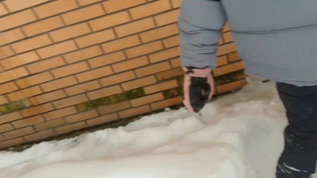 Погуляли с Настей. смотреть онлайн