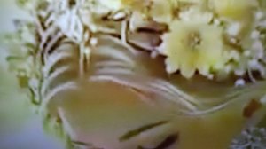 Дети. Как правильно распознать способности ребёнка