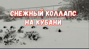 #164❄️16 января. Снежный коллапс на Кубани/Справляюсь одна