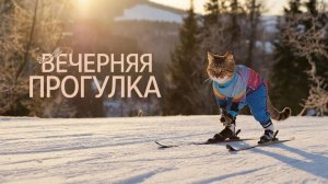 Выгулять кота.