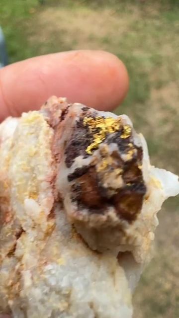 Поиск золота смотреть онлайн