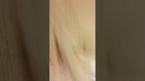 Полина и анкус небольшой шлях сериал