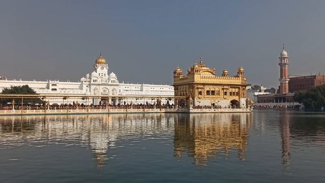 Отражения в воде! смотреть онлайн