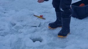 сёмкина 2 в комаровке