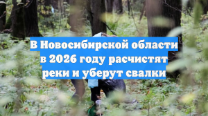 В Новосибирской области в 2026 году расчистят реки и уберут свалки