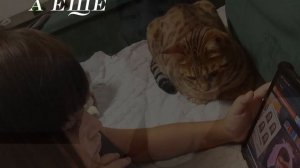 УРААААААААААА МОЕЙ ЛП 9 ❤️❤️❤️❤️🥹🥹🥹🥹🥹 (ОНА МЕНЯ МЛАДШЕ НА ГОД)